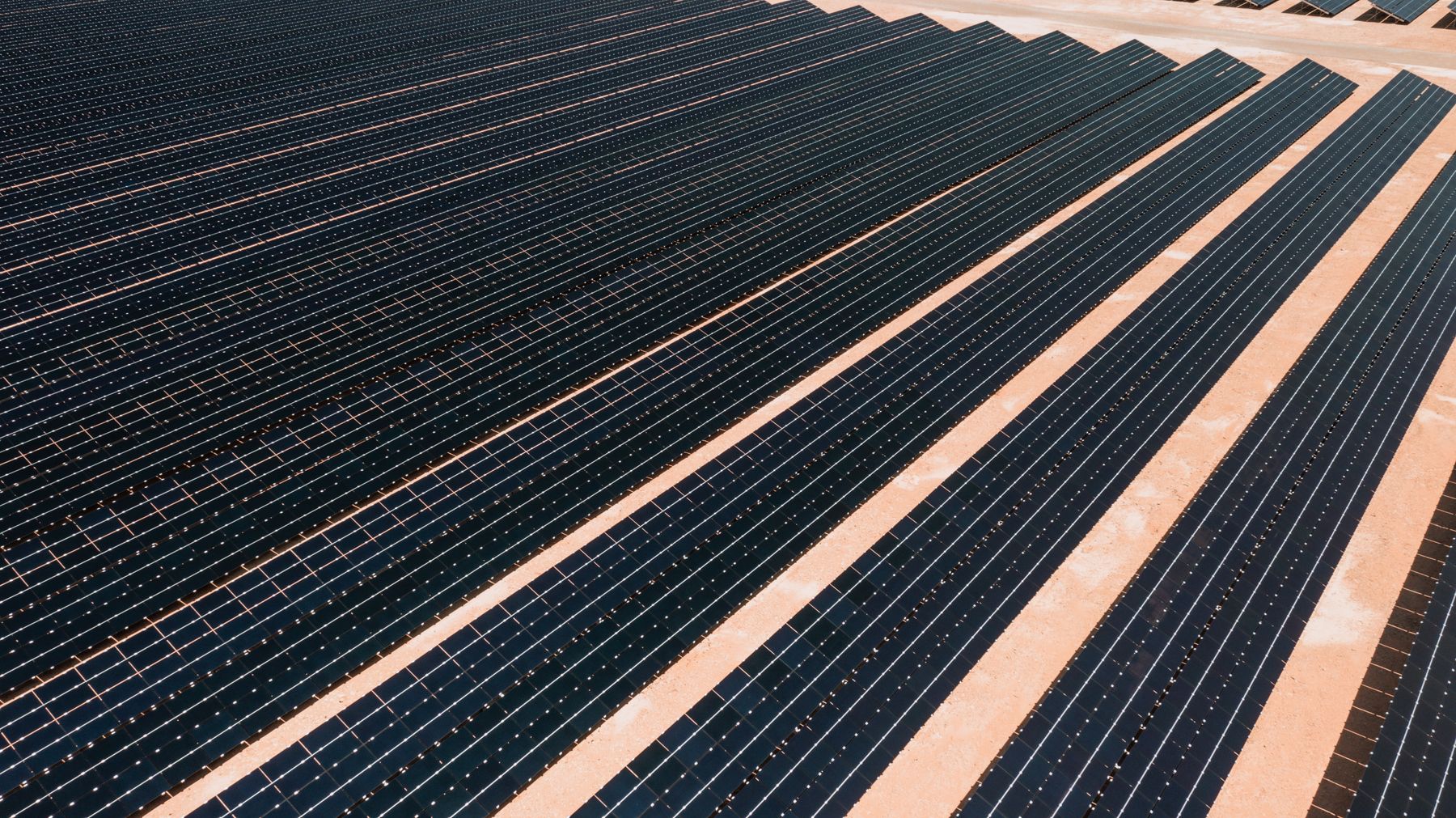 Rânduri de panouri fotovoltaice într-un parc solar